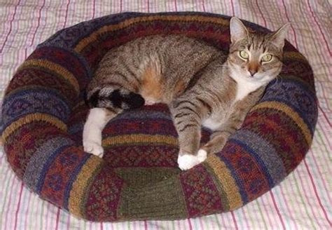 Choosing an old sweater to make a pet bed