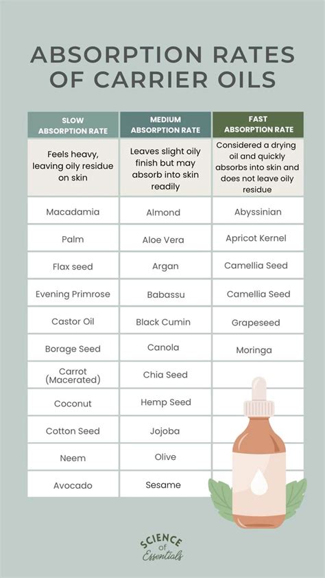 How to Maximize Oil Absorption and Results