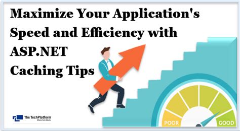How to Maximize Results: Expert Application Tips