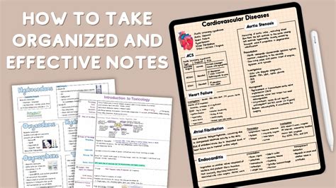 How to Organize Your Notes Using Qept