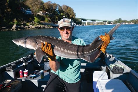 How to Prepare to Catch a Sturgeon