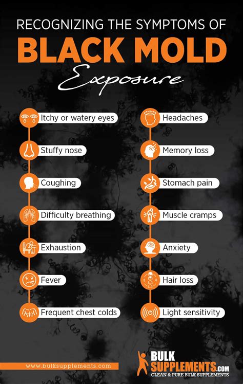 How to Prevent Black Mold Exposure