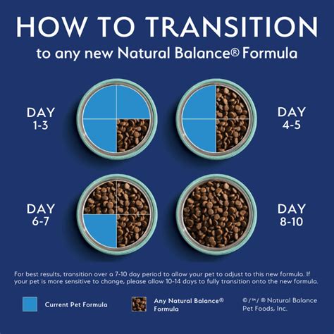 How to Properly Transition Dog Food