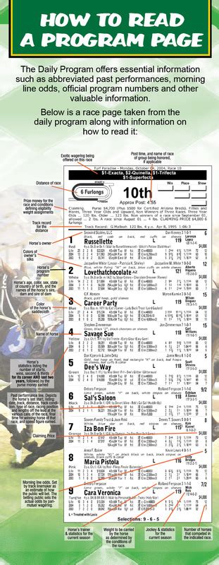 How to Read a Horse Racing Program