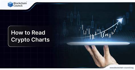 How to Read the Crypto Market Cap Graph (The Basics)
