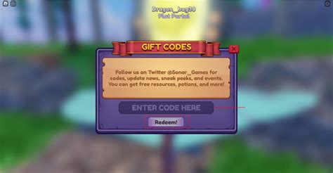 How to Redeem Dragon Adventures Codes