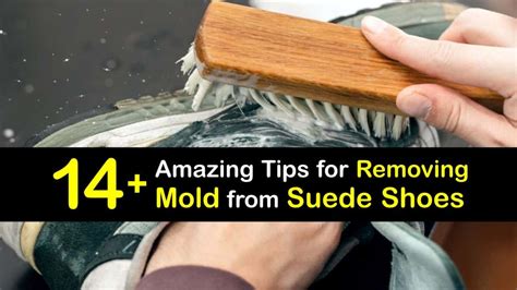 How to Remove Mold from Shoes