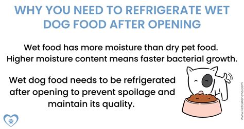 How to Store Wet Dog Food Safely