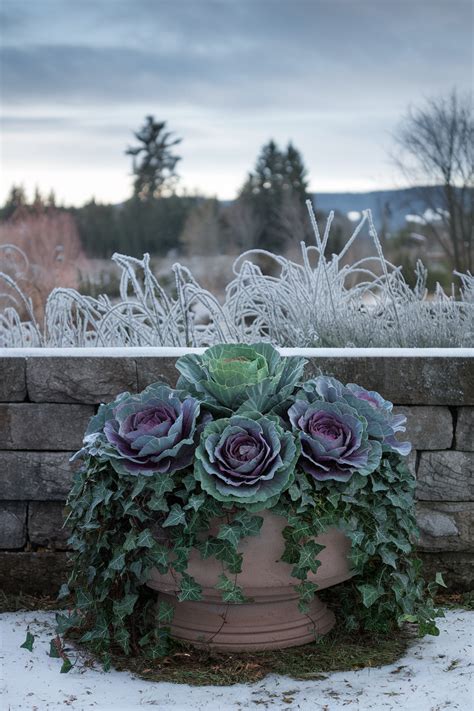 How to Survive Cold Temperatures