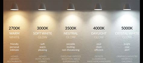 How to Test Your Light Colors