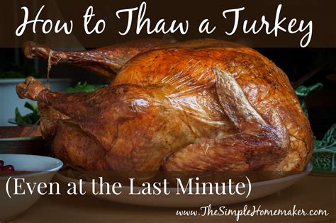 How to Thaw a Turkey Overnight