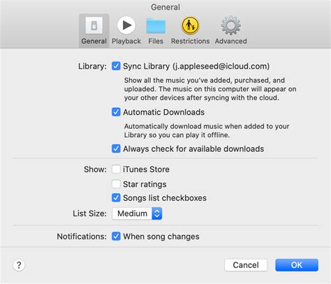 How to Turn ON iCloud Music Library on Computer