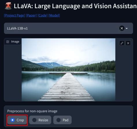 How to Use LLaVA’s Vision Assistant Right Now