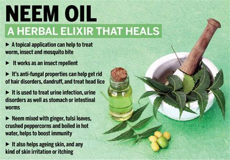 How to Use Neem Oil For Hair: Application Methods and Best Practices
