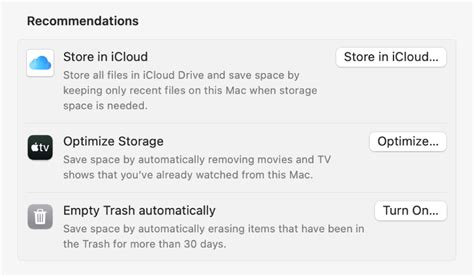 How to Use Store in iCloud on Mac