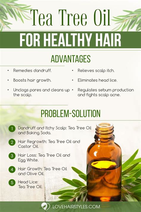 Practical Application: How to Use Tea Tree Essential Oil For Hair
