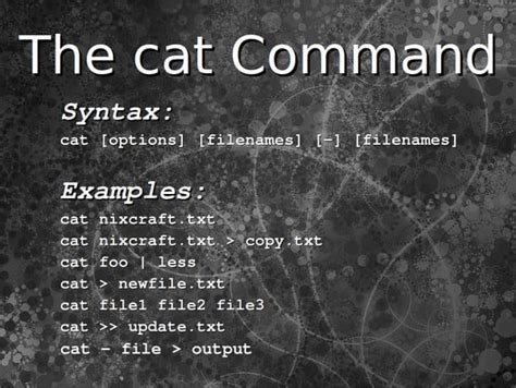 How to Use cat Command: Syntax &amp; Options