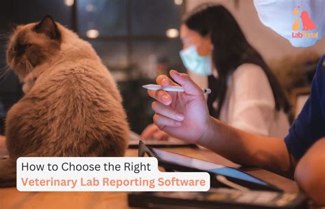 How to Vet a Potential Software Best Site