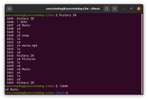 How to View Command History in Linux