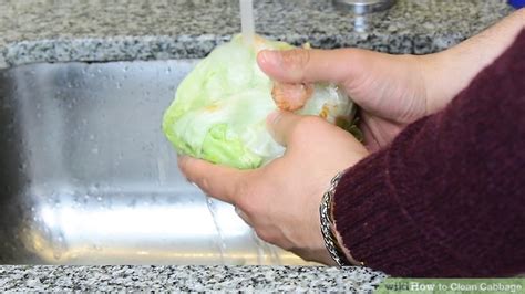 How to Wash Cabbage