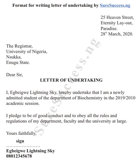 How to Write Letter of Undertaking [See Samples]
