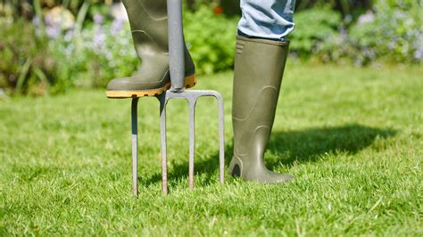 How to aerate a lawn manually