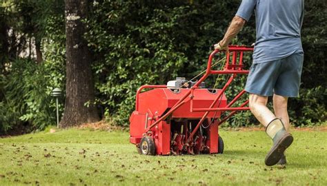 How to aerate a lawn with a machine