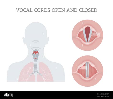 How to be vocal