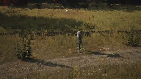 How to breed sheep in Manor Lords