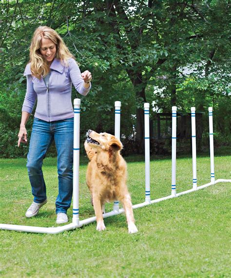 How to Build a DIY Dog Agility Course Dog agility course diy, Dog
