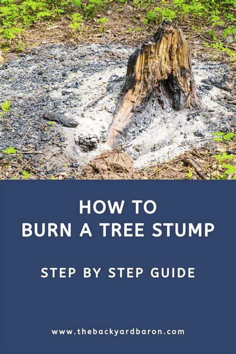 How to burn a tree stump