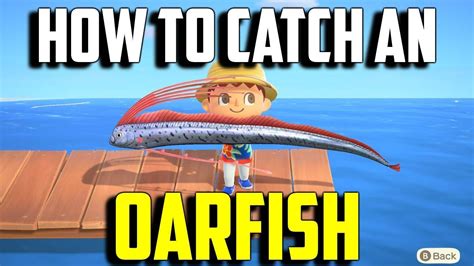 How to catch the Oarfish