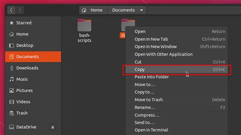 How to copy a directory on Linux desktop file explorers
