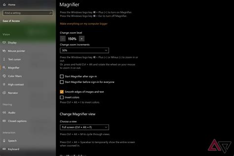 How to customize Magnifier options