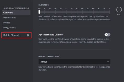 How to delete a Discord channel and server