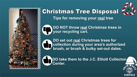 How to dispose of a real Christmas tree