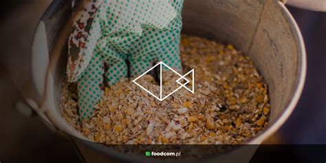 How to feed