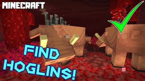 How to find hoglins in the Nether Update