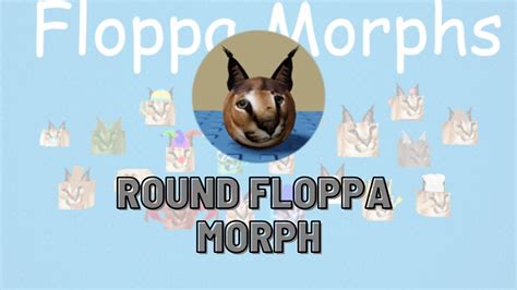 How to find the Round Floppa Morph in Find the Floppa Morphs 