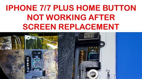 How to fix the iPhone 7 Home Button not working