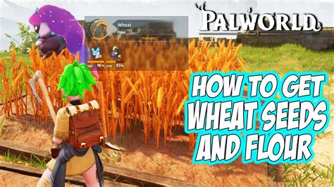 How to get Wheat in Palworld