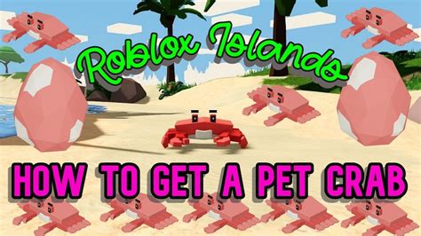 How to get a pet crab in Roblox Islands