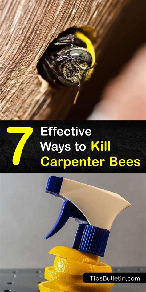 How to get rid of carpenter bees with spray