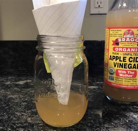 How to get rid of fruit flies with apple cider vinegar