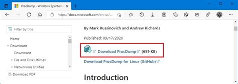 How to install ProcDump on Windows 10