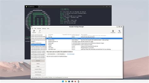 How to install a GUI package manager in Ubuntu on WSL