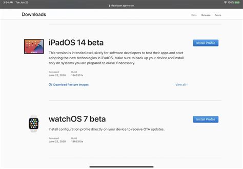 How to install the iPadOS 14 developer beta