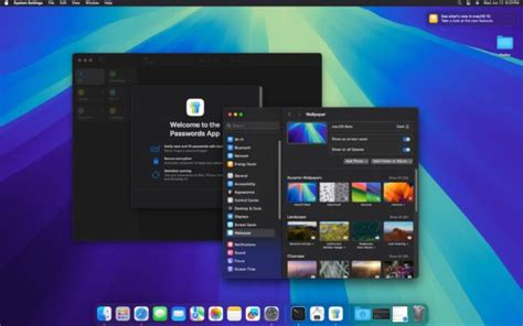 How to install the macOS 11 developer beta