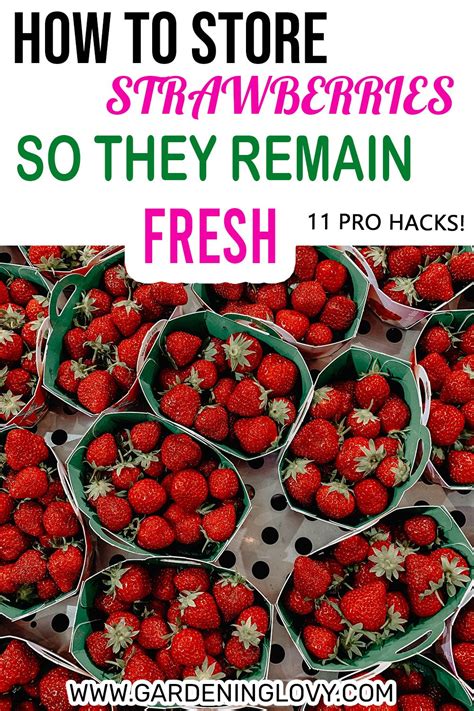 How to keep strawberries fresh