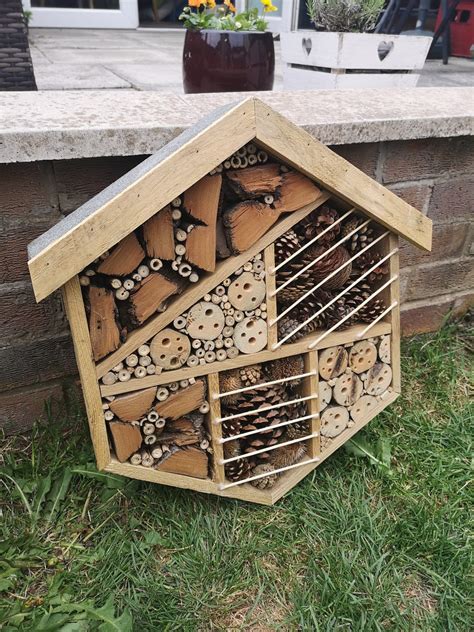 How to make a bug house: step by step guide